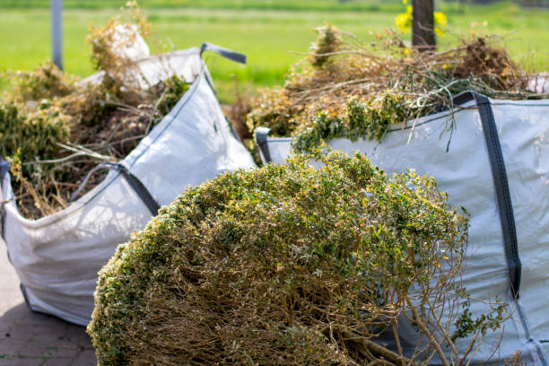 Best Shed Removal  in Washington, KS